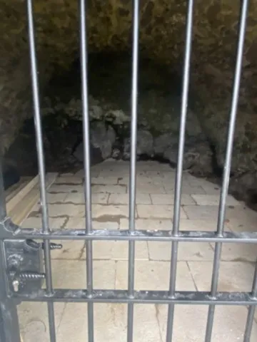 Grille en fer forgé 