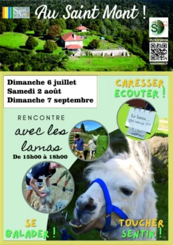 Démonstration de taille d'essis