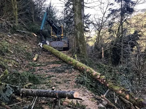 Réfection du haut du chemin d'accès 